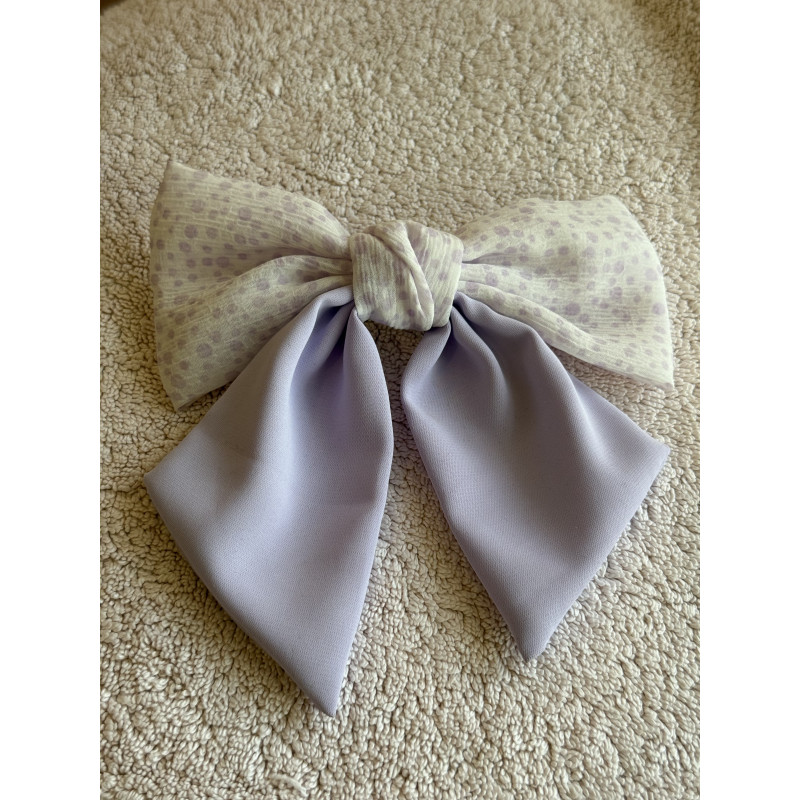 Accessoire cheveux